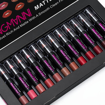 12 color lipstick set displaying various shades in a sleek black packaging with matte finish.